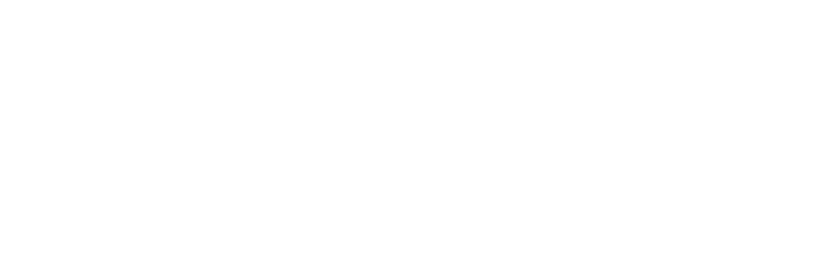 Bizon Design